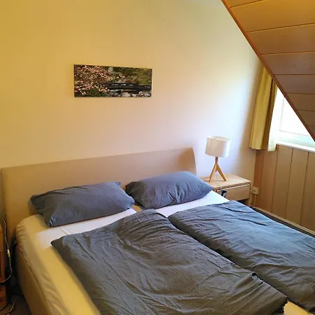 Hotell Bio-hotel Zum Forsthaus Altenau (Lower-Saxony)
