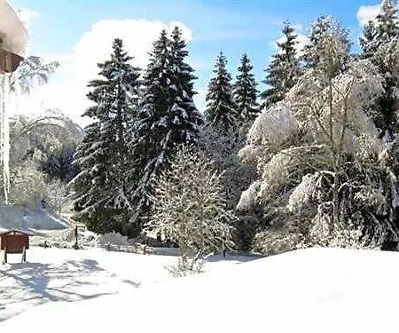 فندق Bio-hotel Zum Forsthaus