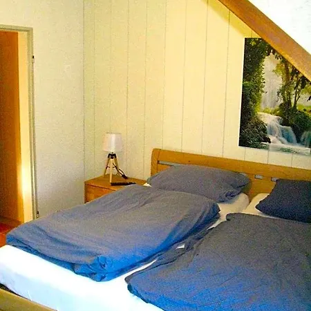 Hotel Bio-hotel Zum Forsthaus Altenau (Lower-Saxony)