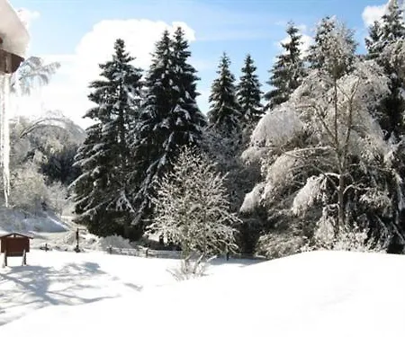 فندق Bio-hotel Zum Forsthaus 3*